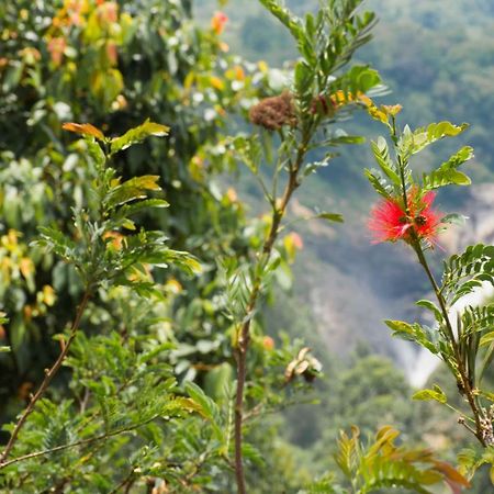 Aranyaka Resorts Munnar Exterior photo