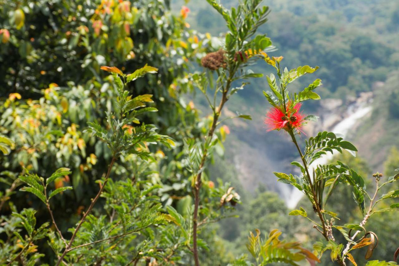 Aranyaka Resorts Munnar Exterior photo