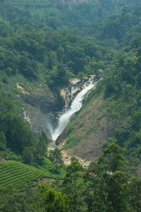 Aranyaka Resorts Munnar Exterior photo